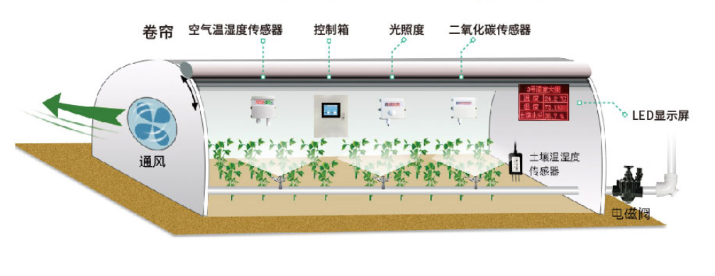 温室大棚中安装二氧化碳传感器的情况