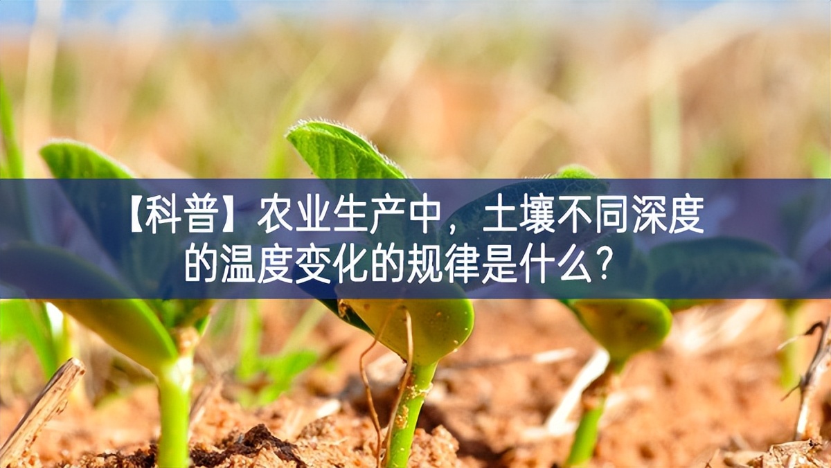 【科普】农业生产中，土壤不同深度的温度变化的规律是什么？