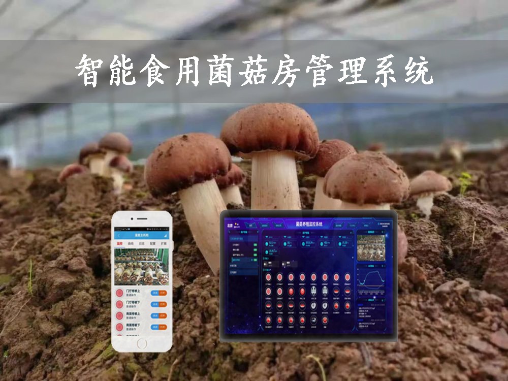 智能食用菌菇房管理系统