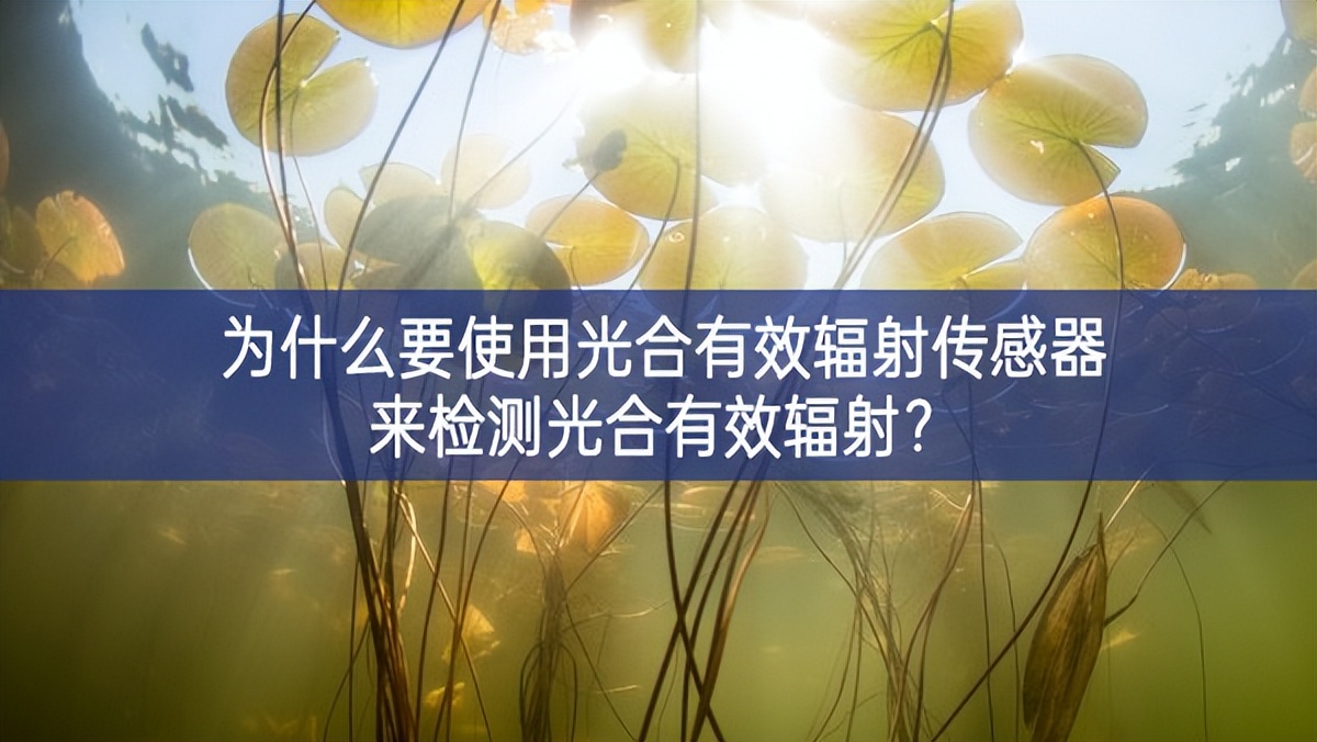 为什么要使用光合有效辐射传感器来检测光合有效辐射？