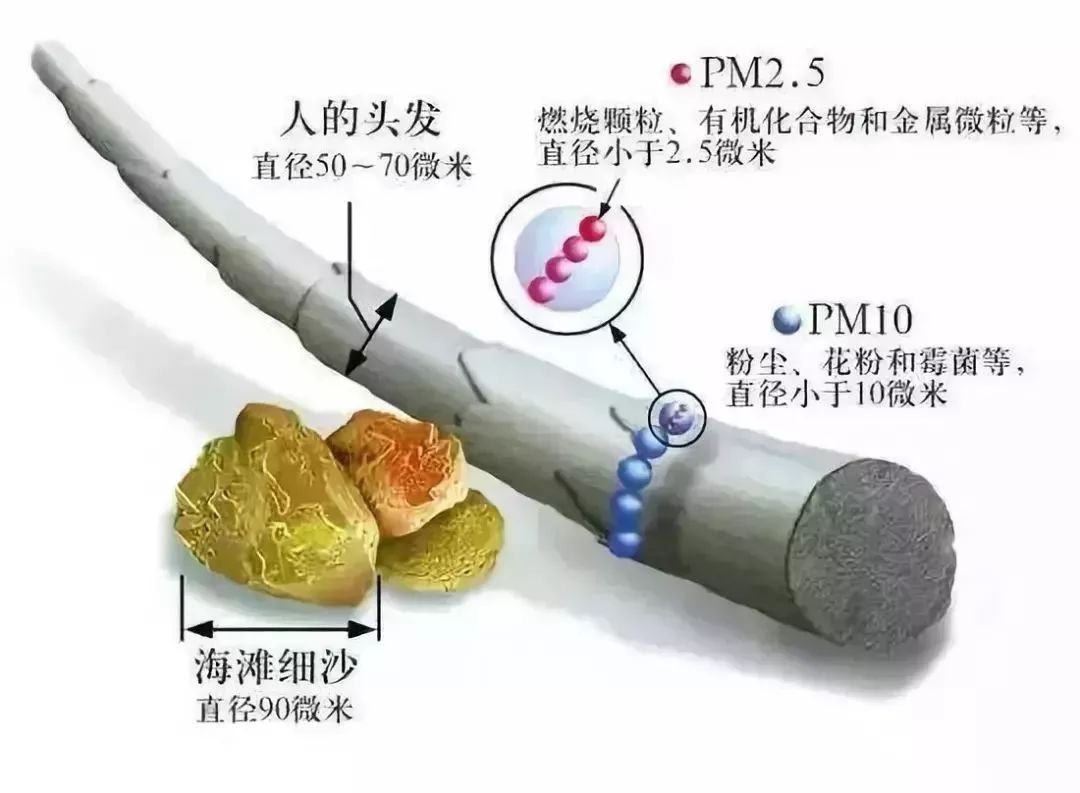 PM2.5 与 PM 10的区别