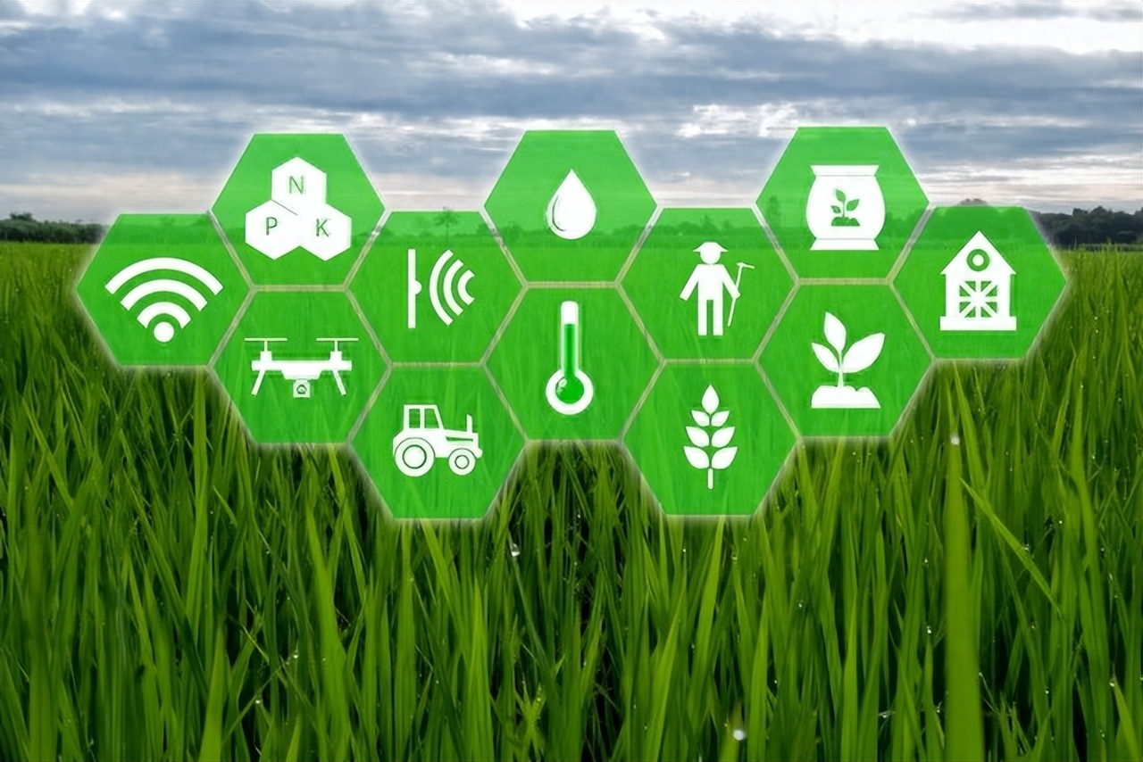 二氧化碳传感器在温室农业中的应用