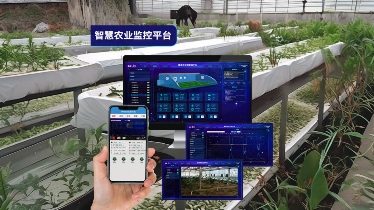 智慧农业物联网云平台，远程智能监测，助力现代化育苗