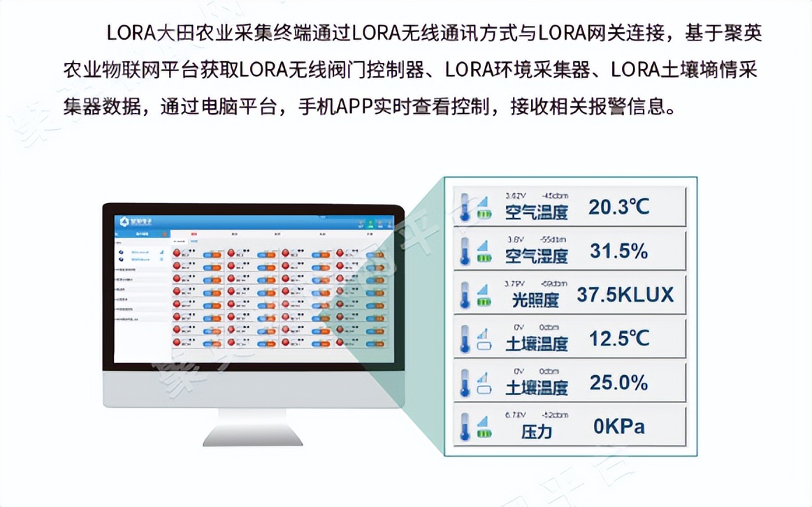 获取环境信息，远程信息查看