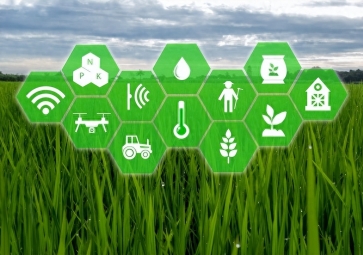 二氧化碳传感器在温室农业中的应用