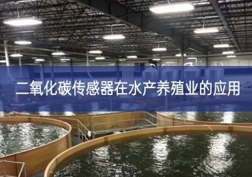 二氧化碳传感器在水产养殖业的应用