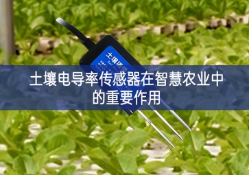 土壤电导率传感器在智慧农业中的重要作用