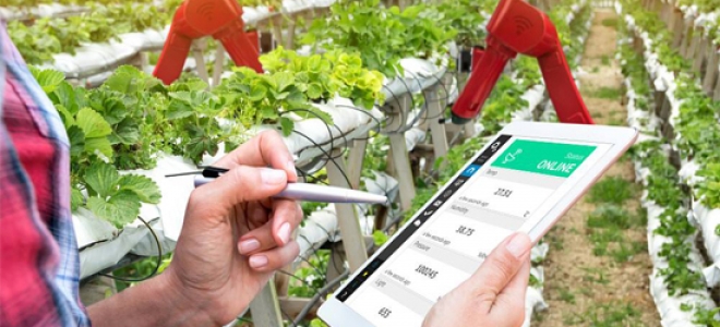 Internet of things changes six ways of Agriculture