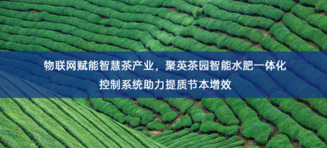 「智慧农业」物联网赋能智慧茶产业，聚英茶园智能水肥一体化控制系统助力提质节本增效
